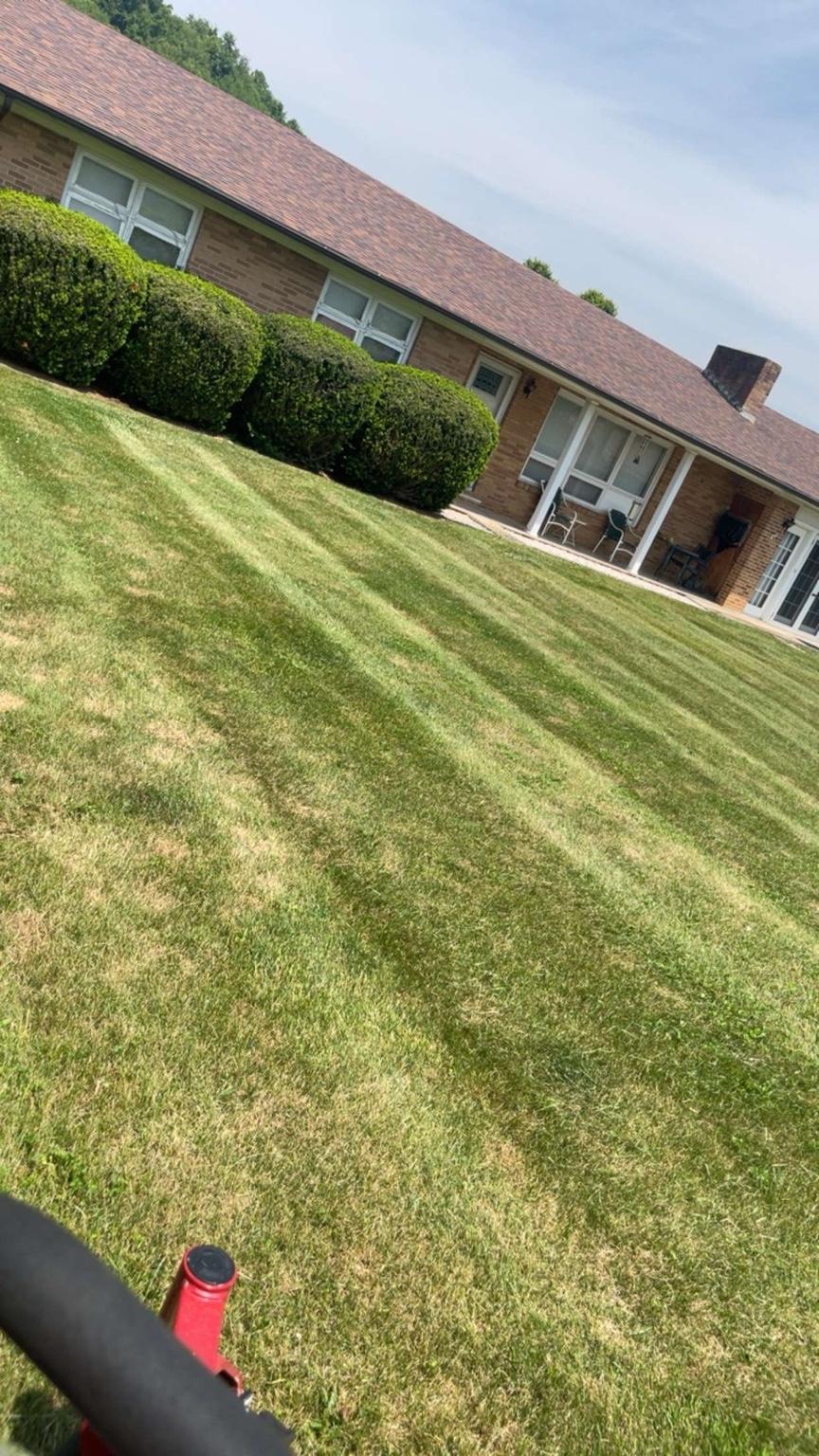 Freshly mowed lawn 1
