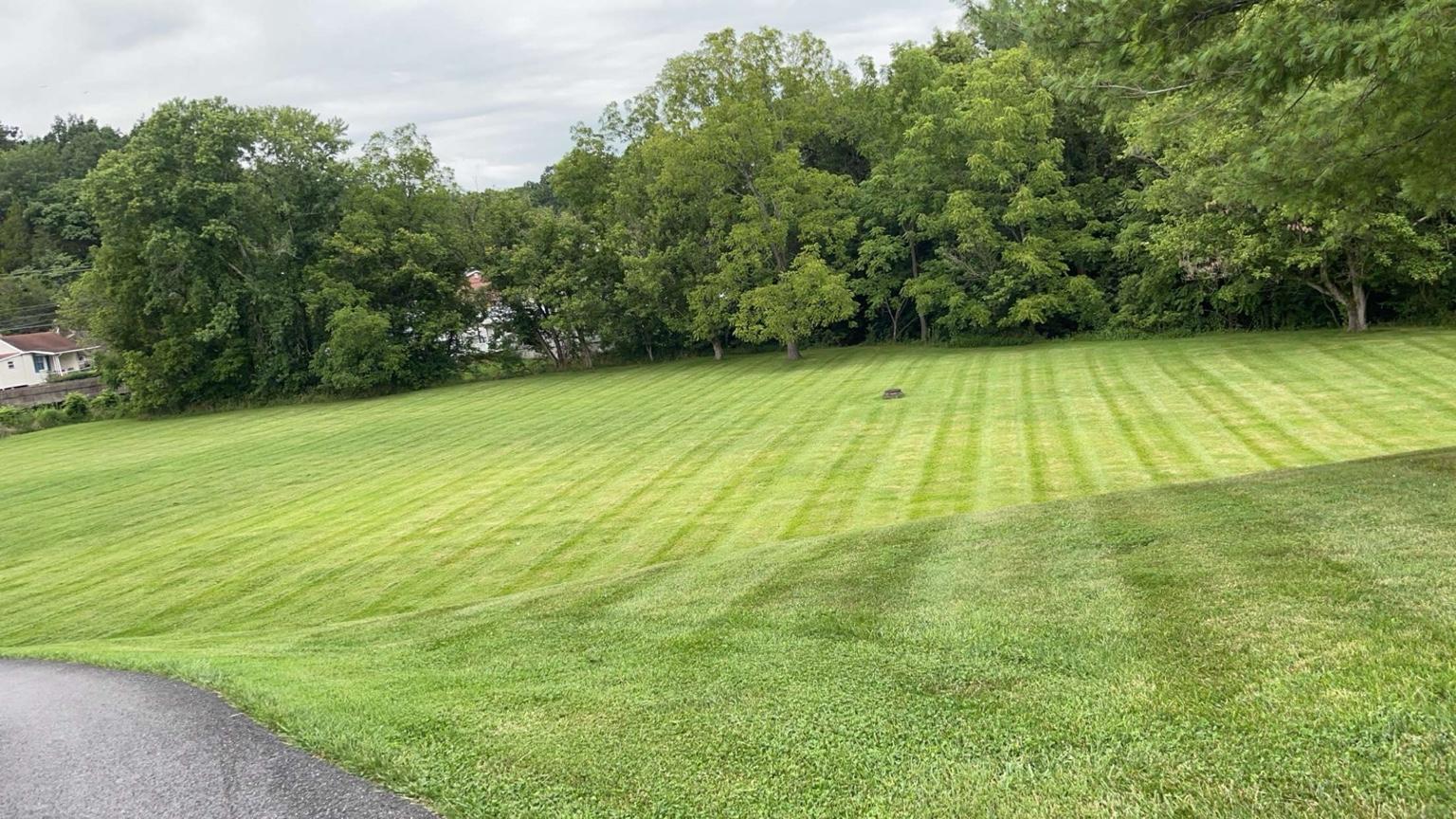 Freshly mowed lawn 2